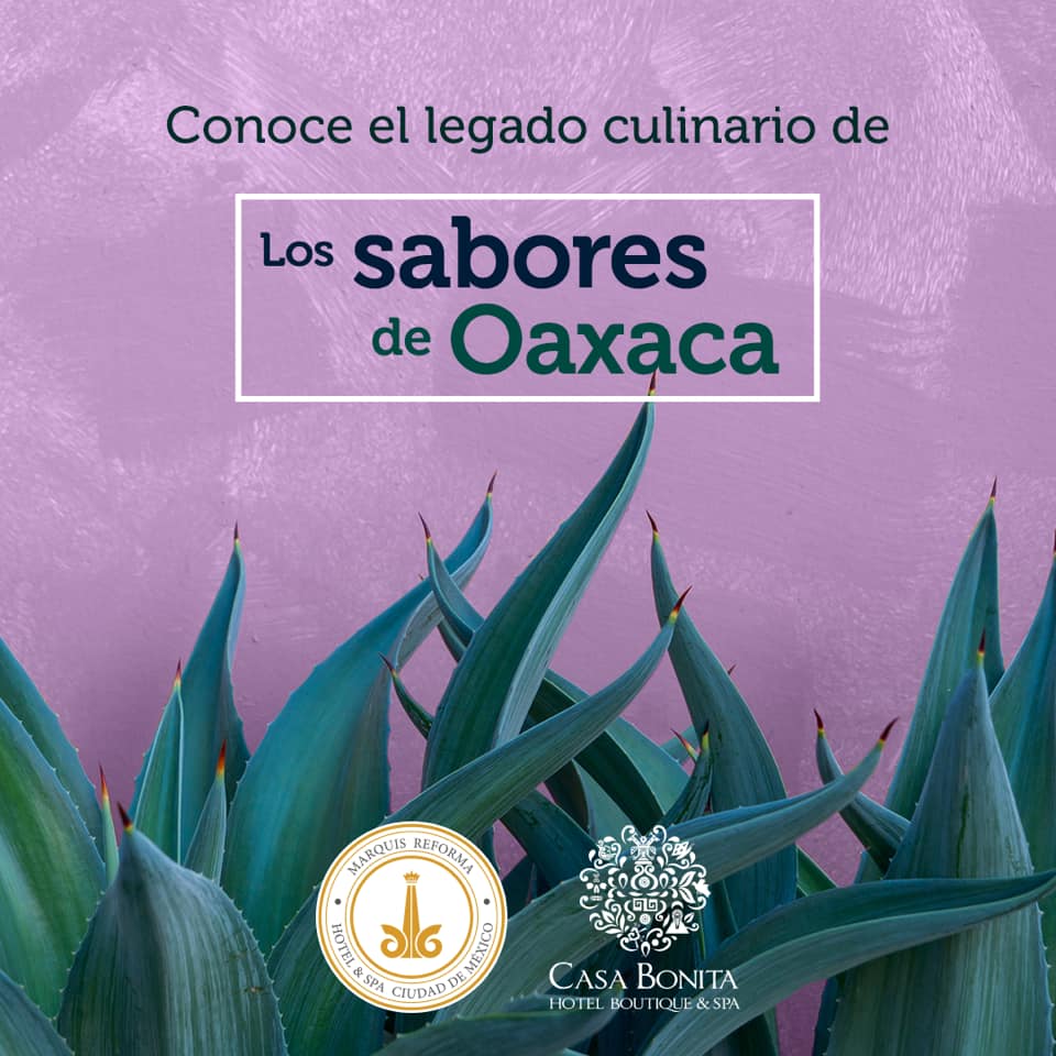 Sabores De Oaxaca Estará Hasta El 7 De Noviembre En La Ciudad De México