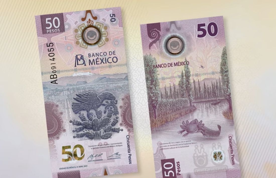 Así es el nuevo billete de 50 pesos