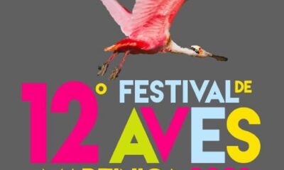 La 12° Edición Del Festival Internacional De Aves Martinica 2021 Se Inaugurará Este 17 De Diciembre A Las 13 Horas.