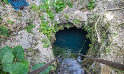 ¿Ya Conoces El Cenote 7 Bocas?
