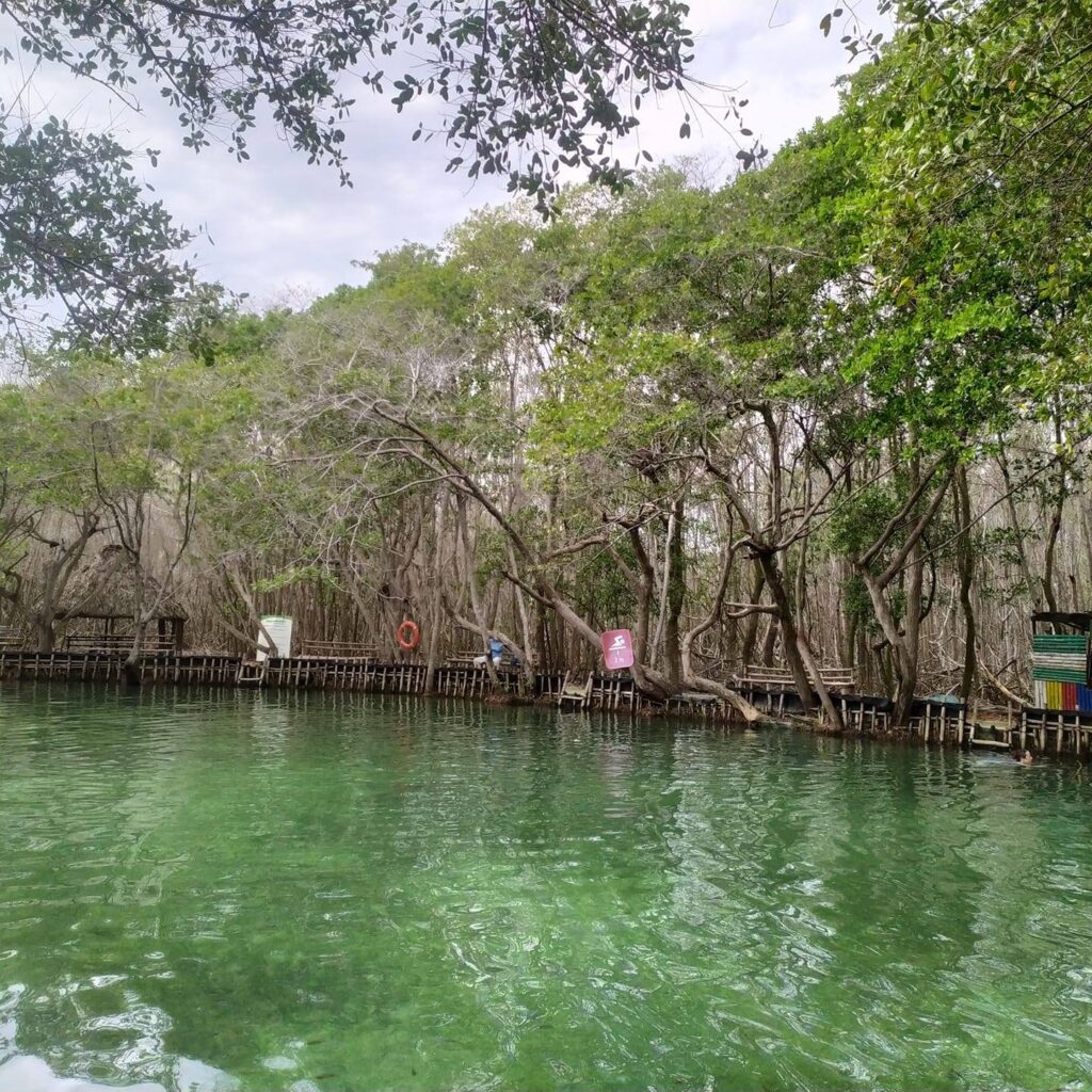 El Corchito, un tesoro escondido en el manglar de Progreso, Yucatán Se encuentra localizado a 36 kilómetros de Mérida, a tan solo 1,200 metros de la entrada al Puerto de Progreso sobre la carretera que va hacia el Puerto de Chicxulub. https://larevistadelsureste.com
