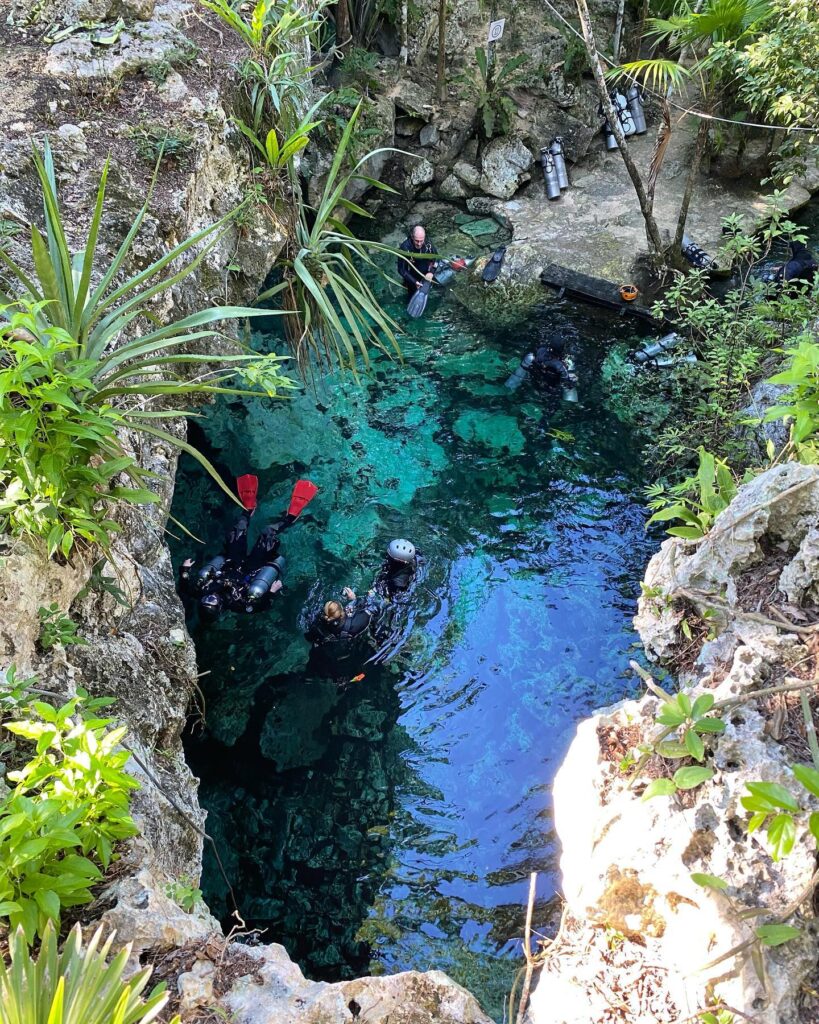 Minotauro, El Cenote Que Pocos Se Atreven A Explorar  &Nbsp;El Cenote Minotauro&Nbsp;Es Uno De Los Seis Cenotes Que Se Encuentran En El Sistema Minotauro: Estrella, Escalera, Piedra, Winz Y Uno Pequeño Que Se Encuentra En El Centro Que Lo Separa Del Sistema De Cenotes Taj Mahal.&Nbsp; Https://Larevistadelsureste.com