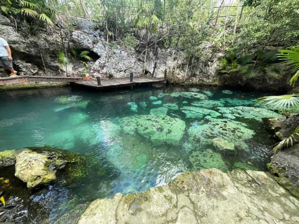 Minotauro, El Cenote Que Pocos Se Atreven A Explorar  &Nbsp;El Cenote Minotauro&Nbsp;Es Uno De Los Seis Cenotes Que Se Encuentran En El Sistema Minotauro: Estrella, Escalera, Piedra, Winz Y Uno Pequeño Que Se Encuentra En El Centro Que Lo Separa Del Sistema De Cenotes Taj Mahal.&Nbsp; Https://Larevistadelsureste.com