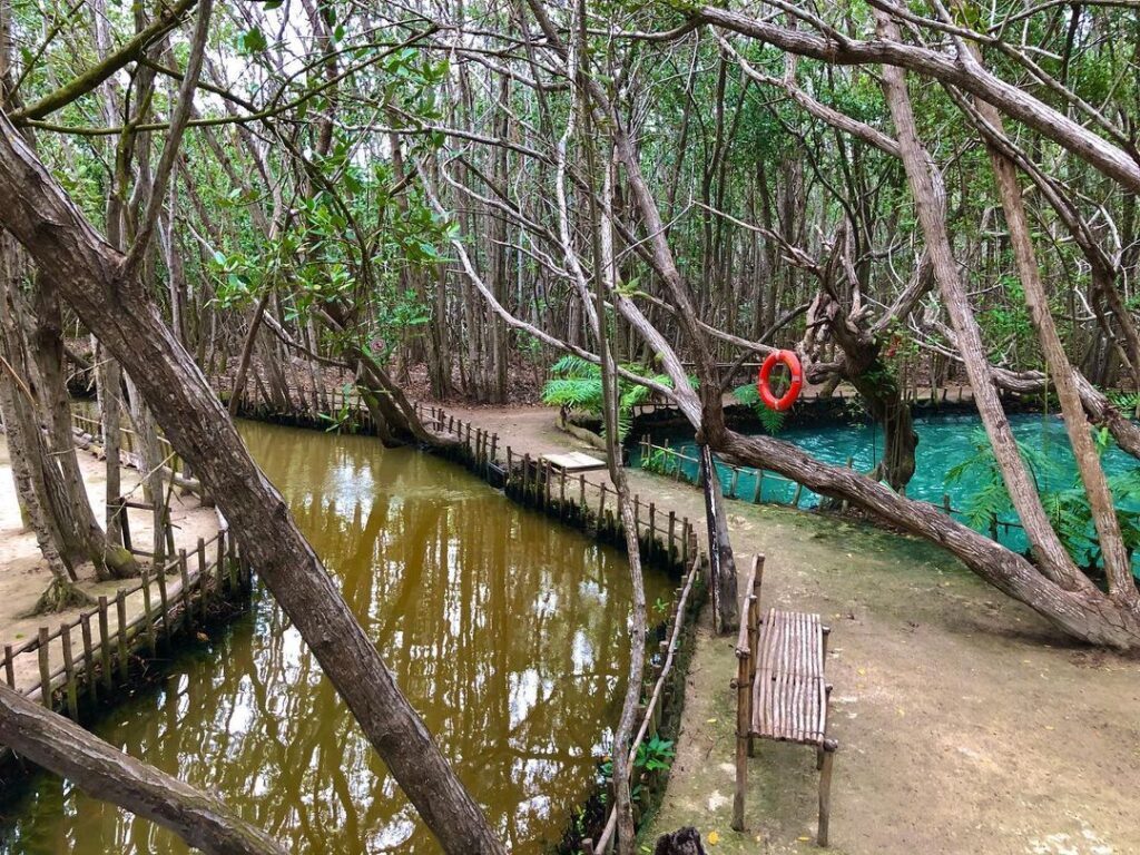 El Corchito, un tesoro escondido en el manglar de Progreso, Yucatán Se encuentra localizado a 36 kilómetros de Mérida, a tan solo 1,200 metros de la entrada al Puerto de Progreso sobre la carretera que va hacia el Puerto de Chicxulub. https://larevistadelsureste.com