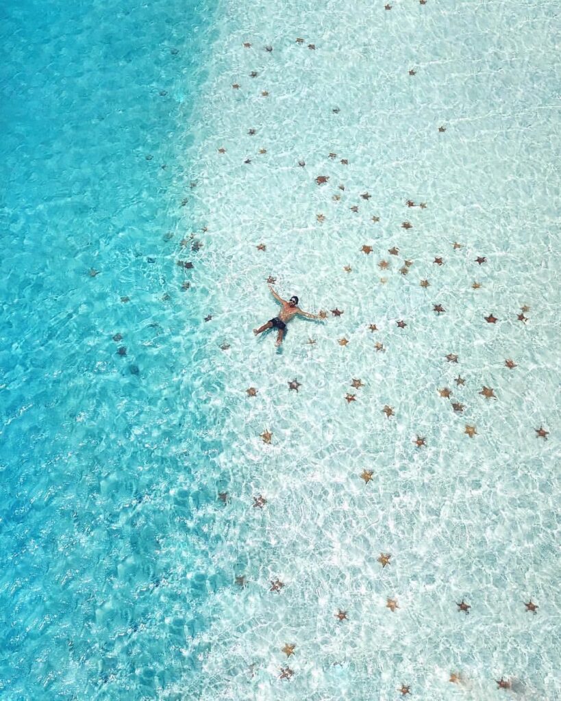 El Cielo, una playa llena de estrellas en Cozumel La playa El Cielo se ubica a 800 metros de Cozumel. Si estás en Cancún o la Riviera Maya, debes primero tomar el ferry que sale de Playa del Carmen a la isla más grande México. https://larevistadelsureste.com