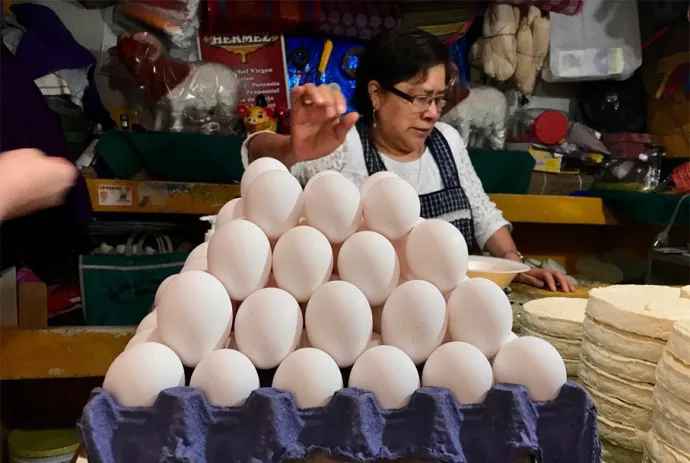 Le salen 'alas' al huevo: La reja ya alcanza los 100 pesos en algunos negocios El precio del huevo casi se ha duplicado en las últimas semanas. Y es que, de acuerdo a los comerciantes, la reja de huevo en algunos supermercados ha alcanzado los 100 pesos.  https://larevistadelsureste.com