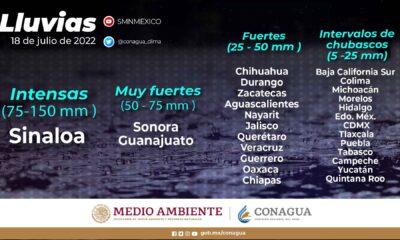 Temperatura máxima de 40°C en Tabasco, Yucatán y Veracruz Para este lunes se prevén lluvias intensas (de 75 a 150 milímetros ) en áreas de Sinaloa; muy fuertes (de 50 a 75 milímetros mm) en regiones de Guanajuato y Sonora; fuertes (de 25 a 50 mm) en localidades de Aguascalientes, Chiapas, Chihuahua, Durango, Guerrero, Jalisco, Nayarit, Oaxaca, Querétaro, Veracruz y Zacatecas; intervalos de chubascos (de 5 a 25 mm) en Baja California Sur, https://larevistadelsureste.com