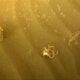 Robot De La Nasa Encuentra Objeto Misterioso En Marte; Científicos Investigan ¿Es Una Planta Rodadora, Un Trozo De Hilo De Pescar O Un Plato De Espaguetis? Así El Misterioso Objeto Que Encontró El Robot De La Nasa Que Explora Marte. Https://Larevistadelsureste.com