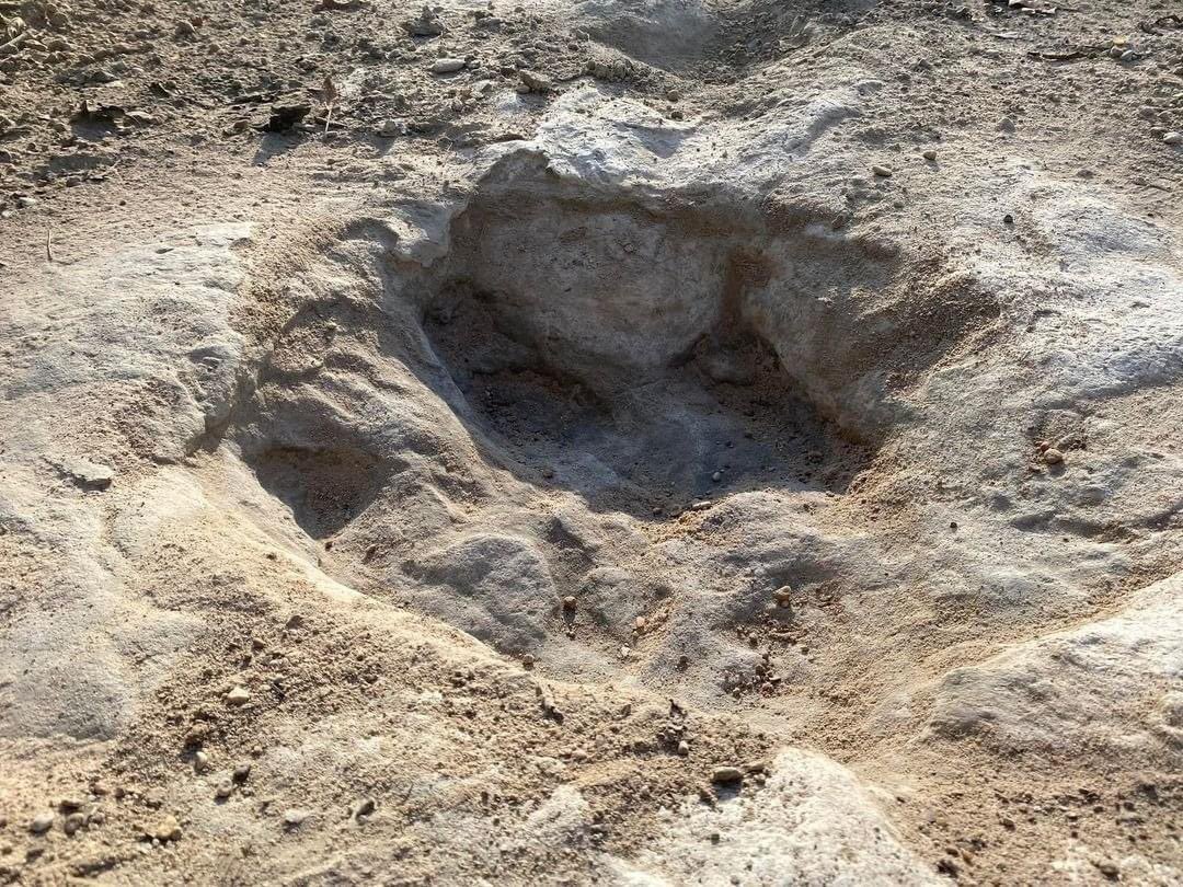 Sequía deja al descubierto huellas de dinosaurio de hace 113 millones de años en Texas En este lugar ha ocurrido un acontecimiento que no suele suceder. Y es que la sequía está dejando paso a increíbles hallazgos como puede ser el campamento romano que ha emergido en Galicia. Pero en el Parque Estatal del Valle de los Dinosaurios de Texas ha ocurrido algo parecido: una serie de huellas de dinosaurio han aparecido al secarse el río por el que pasaba ese terreno.  https://larevistadelsureste.com