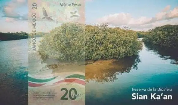 Estos son los asombrosos paisajes que aparecen en los billetes mexicanos Aunque han sufrido varios cambios en los últimos años, los billetes mexicanos conservan a sus personajes y otros se han embellecido con paisajes hermosos que hay que conocer, no solo por su belleza sino para tener un mayor conocimiento sobre ellos, pues pasan a diario por nuestras manos y son una parte esencial de la cotidianidad de México. https://larevistadelsureste.com