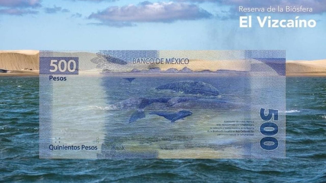 Estos son los asombrosos paisajes que aparecen en los billetes mexicanos Aunque han sufrido varios cambios en los últimos años, los billetes mexicanos conservan a sus personajes y otros se han embellecido con paisajes hermosos que hay que conocer, no solo por su belleza sino para tener un mayor conocimiento sobre ellos, pues pasan a diario por nuestras manos y son una parte esencial de la cotidianidad de México. https://larevistadelsureste.com