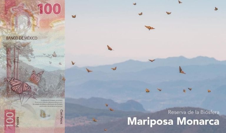 Estos son los asombrosos paisajes que aparecen en los billetes mexicanos Aunque han sufrido varios cambios en los últimos años, los billetes mexicanos conservan a sus personajes y otros se han embellecido con paisajes hermosos que hay que conocer, no solo por su belleza sino para tener un mayor conocimiento sobre ellos, pues pasan a diario por nuestras manos y son una parte esencial de la cotidianidad de México. https://larevistadelsureste.com