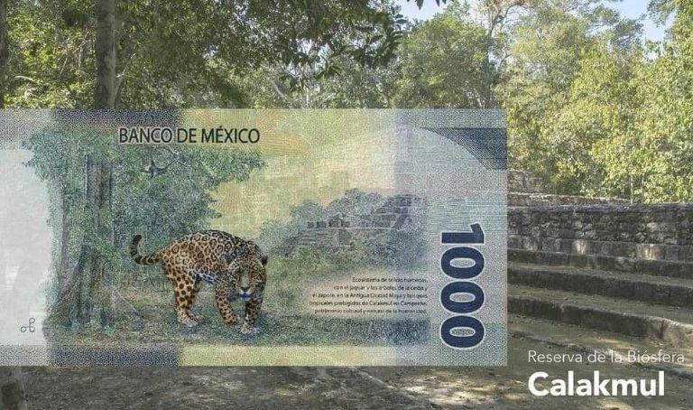 Estos son los asombrosos paisajes que aparecen en los billetes mexicanos Aunque han sufrido varios cambios en los últimos años, los billetes mexicanos conservan a sus personajes y otros se han embellecido con paisajes hermosos que hay que conocer, no solo por su belleza sino para tener un mayor conocimiento sobre ellos, pues pasan a diario por nuestras manos y son una parte esencial de la cotidianidad de México. https://larevistadelsureste.com