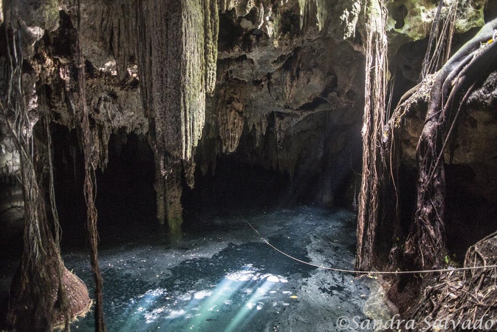 Cenotes con tesoros mayas en su interior ¡Conócelos! En definitiva, los cenotes fueron y serán las joyas más apreciadas de los mayas en la Península de Yucatán.  https://larevistadelsureste.com