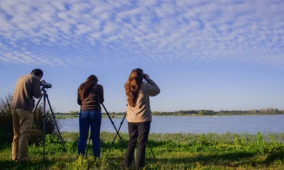 5 consejos para iniciarse en la observación de aves La observación de aves, es una actividad ecoturística que cada vez toma más auge en México y el mundo.  https://larevistadelsureste.com