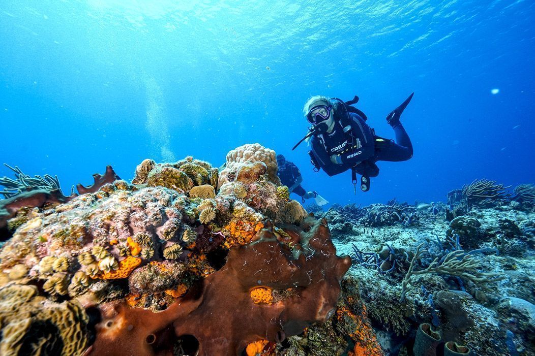 Los mejores destinos para bucear en el Caribe La isla de Cozumel se ubica en el top de destinos para bucear en el Caribe Mexicano.  https://larevistadelsureste.com