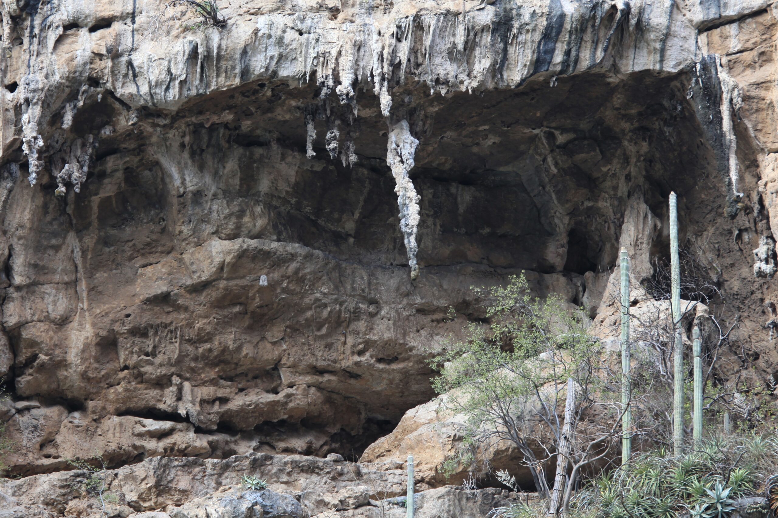 Conoce las formaciones rocosas que podrás admirar en tu próximo viaje al Cañón del Sumidero El Cañón del Sumidero es uno de los atractivos turísticos más impresionantes de México, famoso entre otras cosas, por sus increíbles formaciones rocosas.  https://larevistadelsureste.com
