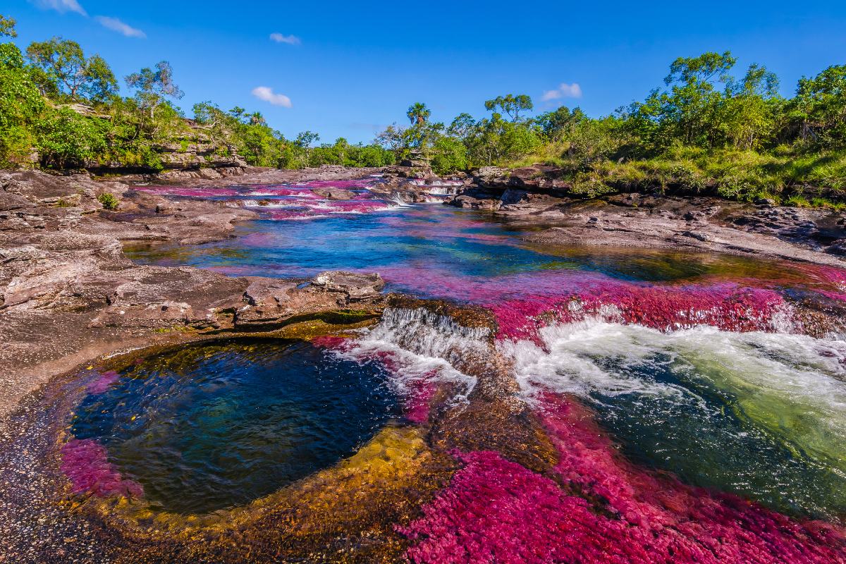 Los mejores destinos en el mundo con fenómenos naturales inimaginables Los fenómenos naturales en estos destinos han llamado la atención de muchos, debido a los espectáculos nunca antes vistos que solo el entorno puede generar. https://larevistadelsureste.com Los mejores destinos en el mundo con fenómenos naturales inimaginables Los fenómenos naturales en estos destinos han llamado la atención de muchos, debido a los espectáculos nunca antes vistos que solo el entorno puede generar. https://larevistadelsureste.com