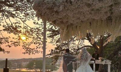 ¡Boda de Embajadora Huimanguillo 2023! Río Roma Celebra el Amor con una Serenata Inolvidable El amor estuvo en el aire este fin de semana en Huimanguillo 2023, ¡donde la magia de la Feria Tabasco se trasladó al altar! La representante de Huimanguillo en la edición 2023 de la Feria Tabasco, Paola Rodríguez Cadenas, pronunció el "sí" más importante de su vida, uniéndose en matrimonio en una ceremonia repleta de emoción y alegría. https://larevistadelsureste.com