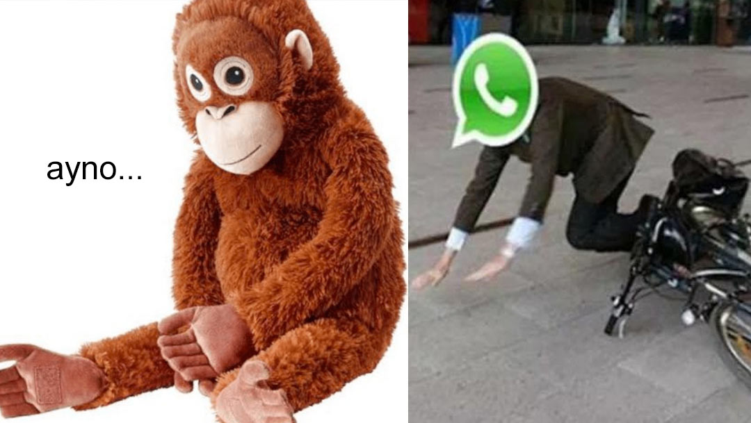 WhatsApp Fuera de Servicio: ¿Qué Sucedió y Cuándo Volverá a Funcionar? WhatsApp, la popular aplicación de mensajería instantánea, ha experimentado problemas técnicos repentinos, afectando a usuarios en todo el mundo. Los informes indican dificultades en el envío de mensajes tanto en dispositivos móviles como en WhatsApp Web, generando preocupación y confusión entre los usuarios. https://larevistadelsureste.com WhatsApp Fuera de Servicio: ¿Qué Sucedió y Cuándo Volverá a Funcionar? WhatsApp, la popular aplicación de mensajería instantánea, ha experimentado problemas técnicos repentinos, afectando a usuarios en todo el mundo. Los informes indican dificultades en el envío de mensajes tanto en dispositivos móviles como en WhatsApp Web, generando preocupación y confusión entre los usuarios. https://larevistadelsureste.com