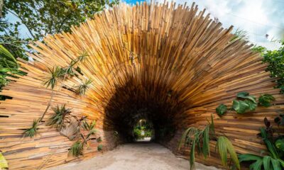 Descubre los lugares más instagrameables de Tulum: ¡Tu próximo destino de ensueño! Tulum, el paraíso bohemio de México, es el sueño de cualquier Instagrammer y blogger con sus lujosos hoteles, aguas turquesas y restaurantes encantadores, este destino se ha convertido en un imán para aquellos que buscan capturar la belleza en cada rincón. No solo ofrece innumerables oportunidades para tomar fotos, sino que el algoritmo de Instagram parece adorar todo lo relacionado con este lugar, aumentando la visibilidad de tus publicaciones. ¡Descubre aquí los lugares más instagrameables de Tulum que no puedes perderte! https://larevistadelsureste.com