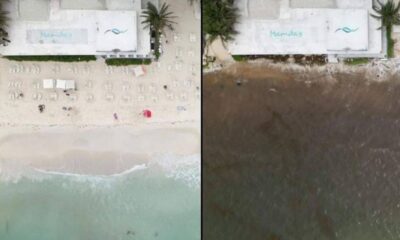 Playa Mamitas en alerta: ¿Por qué el mar se ve café? Playa Mamitas, una de las joyas de la Riviera Maya, se enfrenta a un fenómeno inusual que ha transformado su mar turquesa en un mar de color café. Las intensas lluvias recientes en Quintana Roo han causado estragos en esta emblemática playa, afectando tanto a los turistas como a los locales. https://larevistadelsureste.com