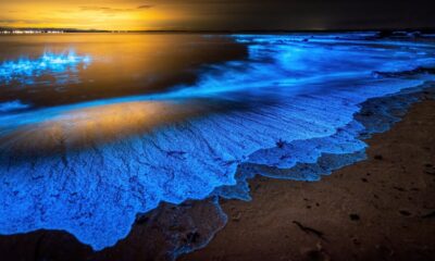 La Playa Secreta De Campeche Que Debes Visitar Esta Semana Santa 2025 A Solo 25 Minutos Del Centro Histórico De San Francisco De Campeche Se Esconde Xpicob, Una Joya Natural Poco Conocida Que Deslumbra Por Un Fenómeno Mágico. Https://Larevistadelsureste.com