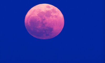 ¿Cuándo Y Dónde Ver Luna Rosa 2025 En México? Aquí Te Contamos El Cielo Nocturno Se Vestirá De Gala Este Abril Con Uno De Los Eventos Astronómicos Más Esperados Del Año: La Luna Rosa 2025, Un Fenómeno Cargado De Simbolismo, Tradición Y Belleza Visual, Que Ocurrirá En Plena Semana Santa. Https://Larevistadelsureste.com