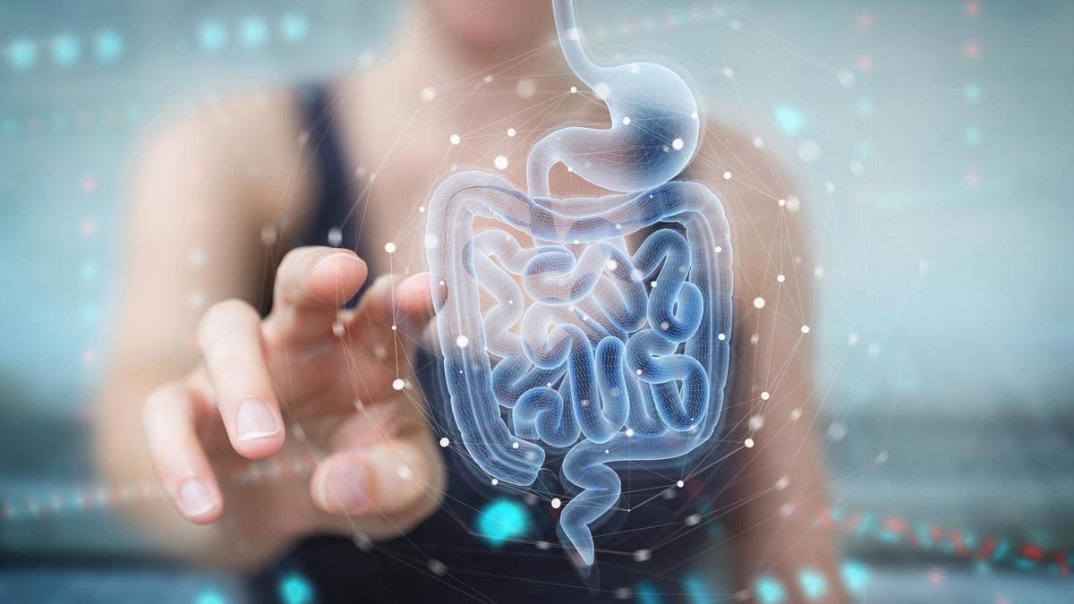 29 de mayo Día de la Salud Digestiva lo que comes sí importa Cada 29 de mayo, el mundo conmemora el Día Mundial de la Salud Digestiva, una fecha instaurada por la Organización Mundial de Gastroenterología para fomentar la prevención, el diagnóstico temprano y el tratamiento adecuado de enfermedades que afectan al sistema digestivo, un componente clave del bienestar general. https://larevistadelsureste.com 29 de mayo Día de la Salud Digestiva lo que comes sí importa Cada 29 de mayo, el mundo conmemora el Día Mundial de la Salud Digestiva, una fecha instaurada por la Organización Mundial de Gastroenterología para fomentar la prevención, el diagnóstico temprano y el tratamiento adecuado de enfermedades que afectan al sistema digestivo, un componente clave del bienestar general. https://larevistadelsureste.com