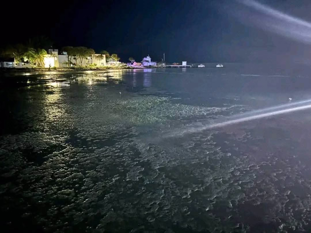 Fenómeno inusual en Campeche: el mar se retira misteriosamente en Ciudad del Carmen Un fenómeno inusual y alarmante sorprendió a habitantes y turistas la tarde de este martes en Ciudad del Carmen, Campeche. https://larevistadelsureste.com Fenómeno inusual en Campeche: el mar se retira misteriosamente en Ciudad del Carmen Un fenómeno inusual y alarmante sorprendió a habitantes y turistas la tarde de este martes en Ciudad del Carmen, Campeche. https://larevistadelsureste.com