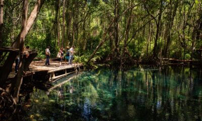 Yucatán impulsará a Dzilam de Bravo como destino ecoturístico En una muestra del compromiso con el desarrollo turístico del estado, el gobierno del Renacimiento Maya de Joaquín Díaz Mena, a través de la Secretaría de Fomento Turístico de Yucatán (SEFOTUR), realizó una visita de trabajo a Dzilam de Bravo, a fin de fortalecer el turismo sostenible y comunitario en esta región del litoral yucateco. El objetivo, tal como establece el Plan Estatal de Desarrollo, es impulsar la vocación turística de los municipios del interior del estado, mejorar la calidad de sus servicios y generar mayores beneficios económicos para las familias de la comunidad. https://larevistadelsureste.com