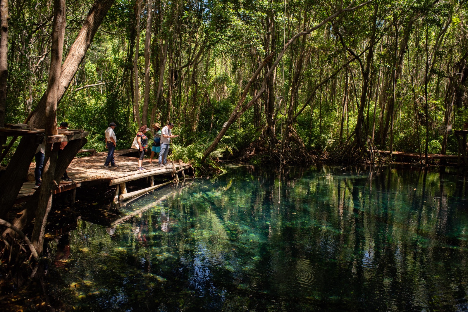 Yucatán impulsará a Dzilam de Bravo como destino ecoturístico En una muestra del compromiso con el desarrollo turístico del estado, el gobierno del Renacimiento Maya de Joaquín Díaz Mena, a través de la Secretaría de Fomento Turístico de Yucatán (SEFOTUR), realizó una visita de trabajo a Dzilam de Bravo, a fin de fortalecer el turismo sostenible y comunitario en esta región del litoral yucateco. El objetivo, tal como establece el Plan Estatal de Desarrollo, es impulsar la vocación turística de los municipios del interior del estado, mejorar la calidad de sus servicios y generar mayores beneficios económicos para las familias de la comunidad. https://larevistadelsureste.com Yucatán impulsará a Dzilam de Bravo como destino ecoturístico En una muestra del compromiso con el desarrollo turístico del estado, el gobierno del Renacimiento Maya de Joaquín Díaz Mena, a través de la Secretaría de Fomento Turístico de Yucatán (SEFOTUR), realizó una visita de trabajo a Dzilam de Bravo, a fin de fortalecer el turismo sostenible y comunitario en esta región del litoral yucateco. El objetivo, tal como establece el Plan Estatal de Desarrollo, es impulsar la vocación turística de los municipios del interior del estado, mejorar la calidad de sus servicios y generar mayores beneficios económicos para las familias de la comunidad. https://larevistadelsureste.com