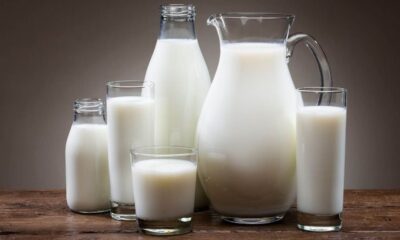 Un vaso de leche al día podría reducir el riesgo de cáncer de colon, de acuerdo un estudio de Oxford La leche, ese alimento cotidiano, podría ser una aliada global en la prevención del cáncer de colon. https://larevistadelsureste.com