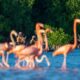 Yucatán fortalece presencia global con 22 campañas internacionales de promoción turística Yucatán activa 22 campañas turísticas globales con grandes operadoras internacionales, consolidando su proyección como destino cultural, natural y gastronómico de clase mundial. https://larevistadelsureste.com