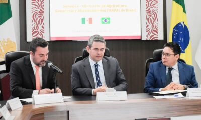 Consolidan México y Brasil comercio agrícola basado en sanidad e inocuidad En una muestra clara del fortalecimiento del comercio agroalimentario bilateral, México y Brasil avanzan hacia una integración estratégica que promete ampliar mercados, fortalecer la seguridad sanitaria y dinamizar el intercambio de productos agrícolas y pecuarios. https://larevistadelsureste.com
