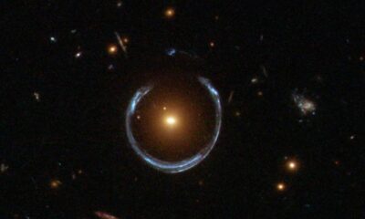 Descubren un agujero negro 36 mil millones de veces más masivo que el Sol Un equipo internacional de investigadores de Brasil y Reino Unido ha identificado lo que podría ser el agujero negro más masivo jamás detectado. https://larevistadelsureste.com