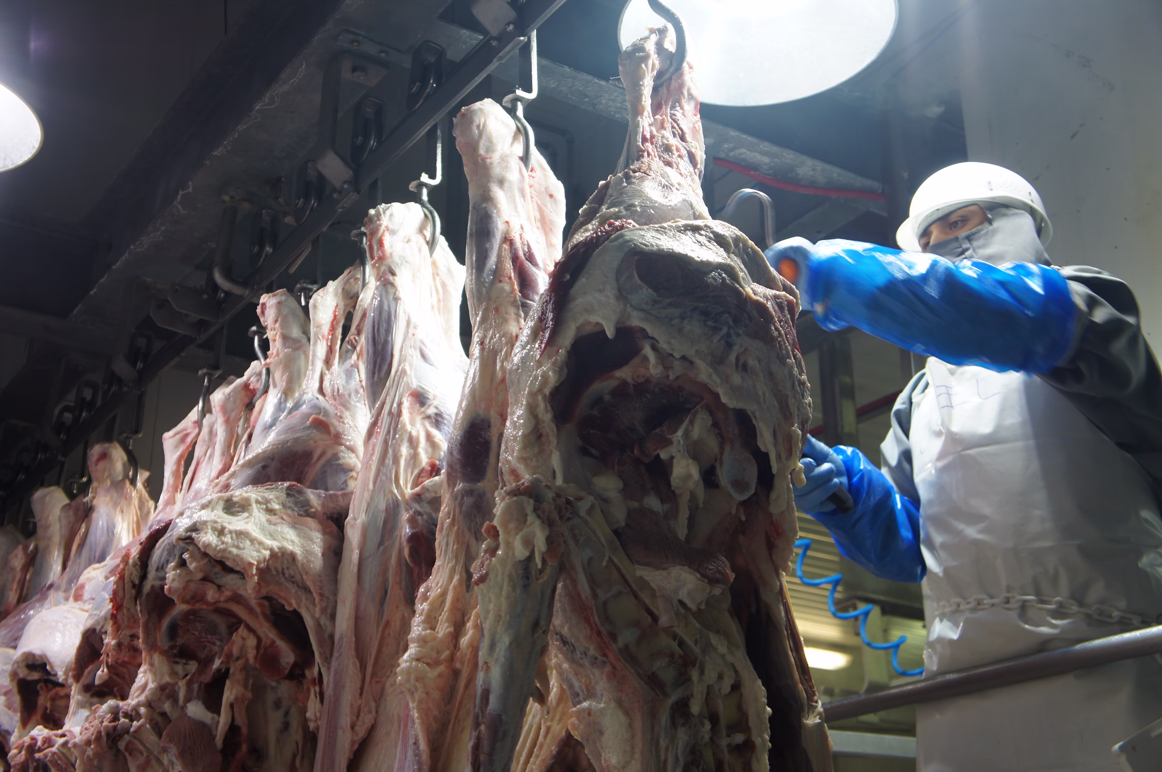 Canadá refrenda equivalencia del sistema TIF mexicano para exportación cárnica Este resultado es fruto del trabajo conjunto con la industria cárnica nacional y permite que las empresas mexicanas —certificadas por el Servicio Nacional de Sanidad, Inocuidad y Calidad Agroalimentaria (Senasica)— exporten sus productos al mercado canadiense bajo los mismos estándares de inocuidad que aplican para el mercado nacional. https://larevistadelsureste.com Canadá refrenda equivalencia del sistema TIF mexicano para exportación cárnica Este resultado es fruto del trabajo conjunto con la industria cárnica nacional y permite que las empresas mexicanas —certificadas por el Servicio Nacional de Sanidad, Inocuidad y Calidad Agroalimentaria (Senasica)— exporten sus productos al mercado canadiense bajo los mismos estándares de inocuidad que aplican para el mercado nacional. https://larevistadelsureste.com