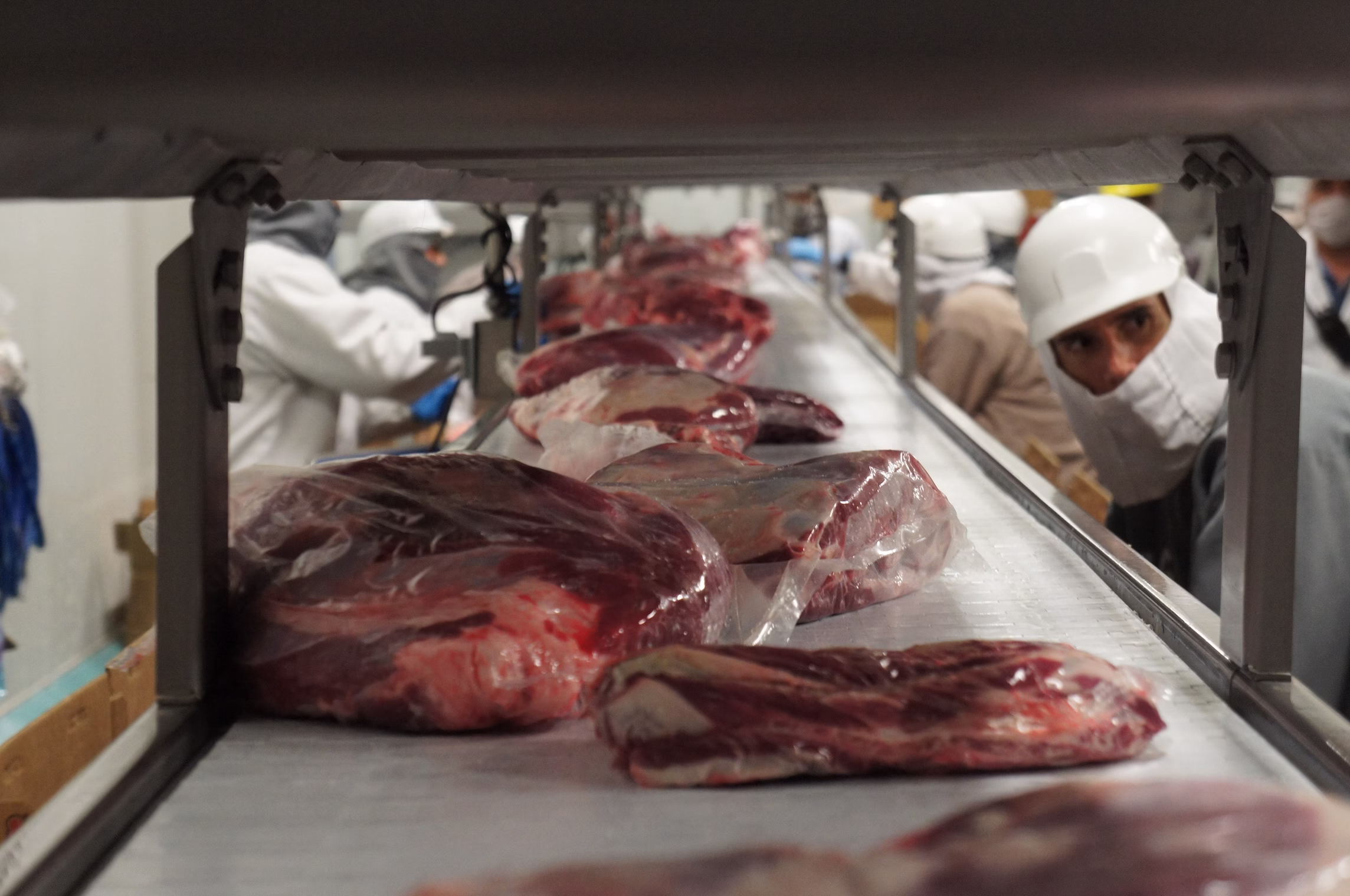 Canadá refrenda equivalencia del sistema TIF mexicano para exportación cárnica Este resultado es fruto del trabajo conjunto con la industria cárnica nacional y permite que las empresas mexicanas —certificadas por el Servicio Nacional de Sanidad, Inocuidad y Calidad Agroalimentaria (Senasica)— exporten sus productos al mercado canadiense bajo los mismos estándares de inocuidad que aplican para el mercado nacional. https://larevistadelsureste.com Canadá refrenda equivalencia del sistema TIF mexicano para exportación cárnica Este resultado es fruto del trabajo conjunto con la industria cárnica nacional y permite que las empresas mexicanas —certificadas por el Servicio Nacional de Sanidad, Inocuidad y Calidad Agroalimentaria (Senasica)— exporten sus productos al mercado canadiense bajo los mismos estándares de inocuidad que aplican para el mercado nacional. https://larevistadelsureste.com