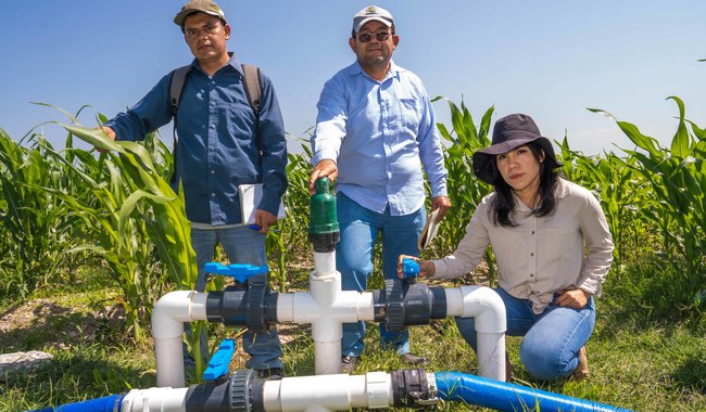 Agricultura presenta avances 2024-2025 en autosuficiencia alimentaria y bienestar rural