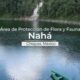 Nahá celebra 27 años como Área de Protección de Flora y Fauna en Chiapas El Área de Protección de Flora y Fauna Nahá, ubicada al norte de la Selva Lacandona, Chiapas, conmemora 27 años desde su decreto como zona natural protegida. https://larevistadelsureste.com