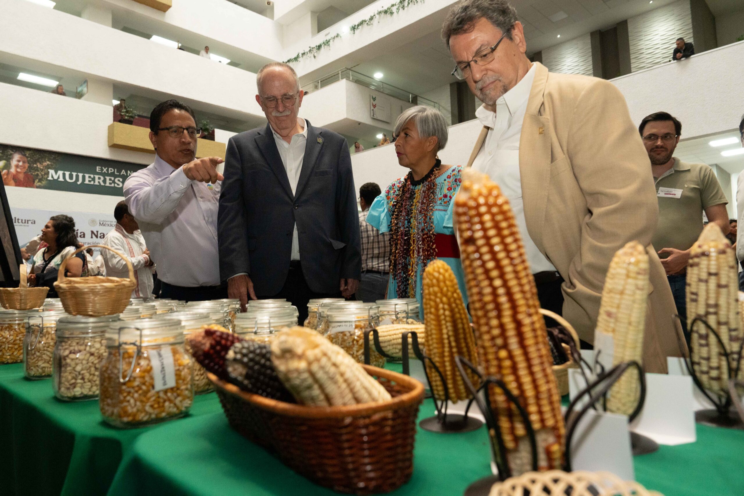 "La Trenza": La exposición que celebra a los guardianes del maíz mexicano y su legado ancestral Una muestra fotográfica de Malena Díaz rinde homenaje al maíz nativo ya las comunidades que mantienen viva la tradición milenaria de la milpa en México. https://larevistadelsureste.com