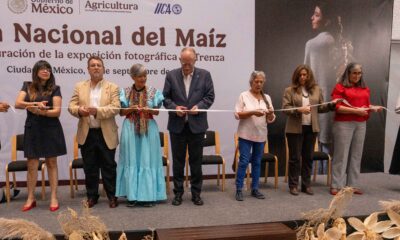 "La Trenza": La exposición que celebra a los guardianes del maíz mexicano y su legado ancestral Una muestra fotográfica de Malena Díaz rinde homenaje al maíz nativo ya las comunidades que mantienen viva la tradición milenaria de la milpa en México. https://larevistadelsureste.com
