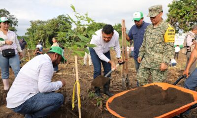 ¡Tabasco verde! Pueblo y gobierno superan 2.7 millones de árboles sembrados en histórica jornada Tabasco demostró este octubre que el compromiso con el medio ambiente es una prioridad para su gobierno y su ciudadanía. La Jornada de Reforestación 2025, encabezada por el gobernador Javier May Rodríguez en la piscifactoría “José Narciso Rovirosa” de Teapa, logró superar la meta inicial de 2.4 millones de árboles, alcanzando 2,737,034 ejemplares sembrados en todo el estado. La participación ciudadana de más de 18 mil personas, escuelas de todos los niveles y más de 50 empresas, fue clave para convertir esta actividad en un verdadero hito ambiental. https://larevistadelsureste.com