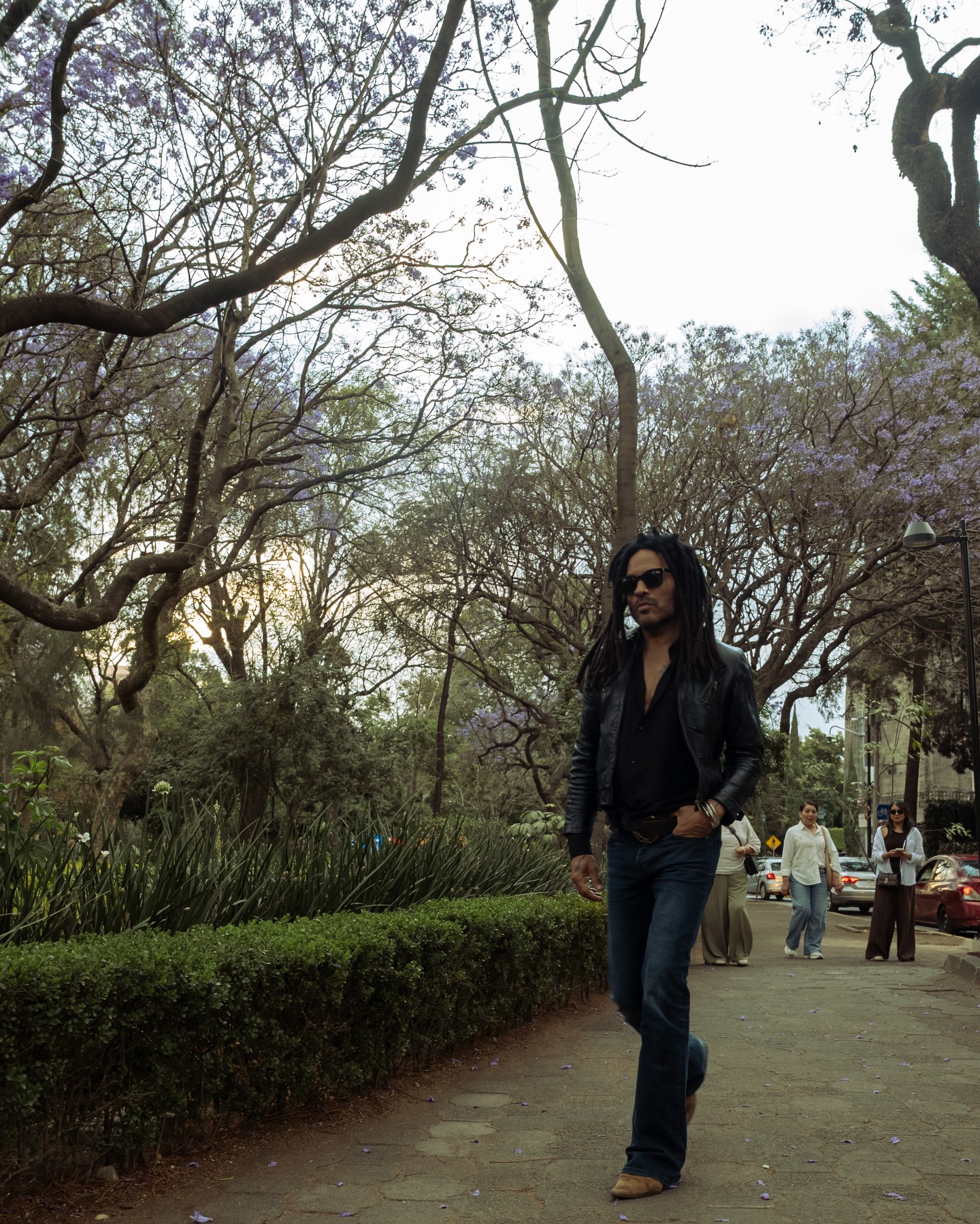 Fotografía de Lenny Kravitz caminando por una banqueta de la Ciudad de México durante la primavera. El músico viste una chamarra de piel negra, jeans azules y gafas de sol, con su característico peinado de rastas. El fondo muestra árboles de jacarandas en pleno florecimiento con flores moradas bajo una luz suave de atardecer.