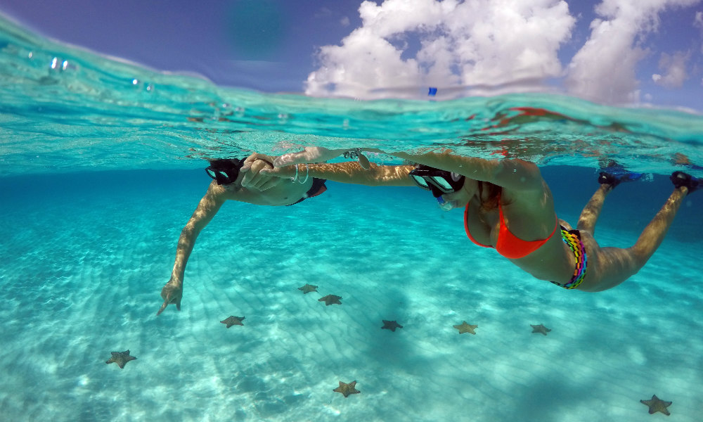 Cozumel El Destino Insular Líder En México