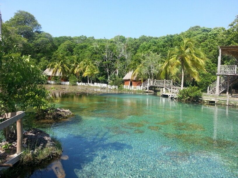 Conoce La Reserva Natural “El Remate” En Campeche