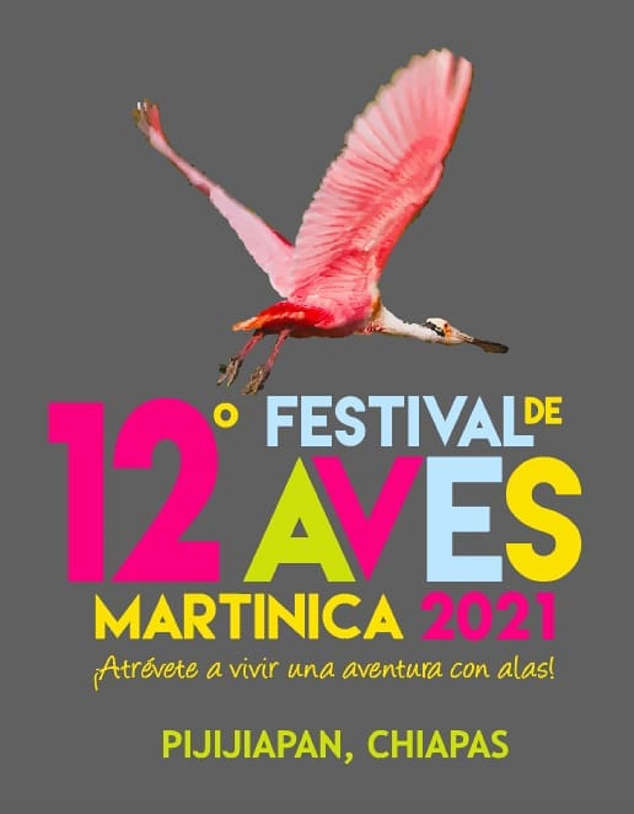 La 12° Edición Del Festival Internacional De Aves Martinica 2021 Se Inaugurará Este 17 De Diciembre A Las 13 Horas.