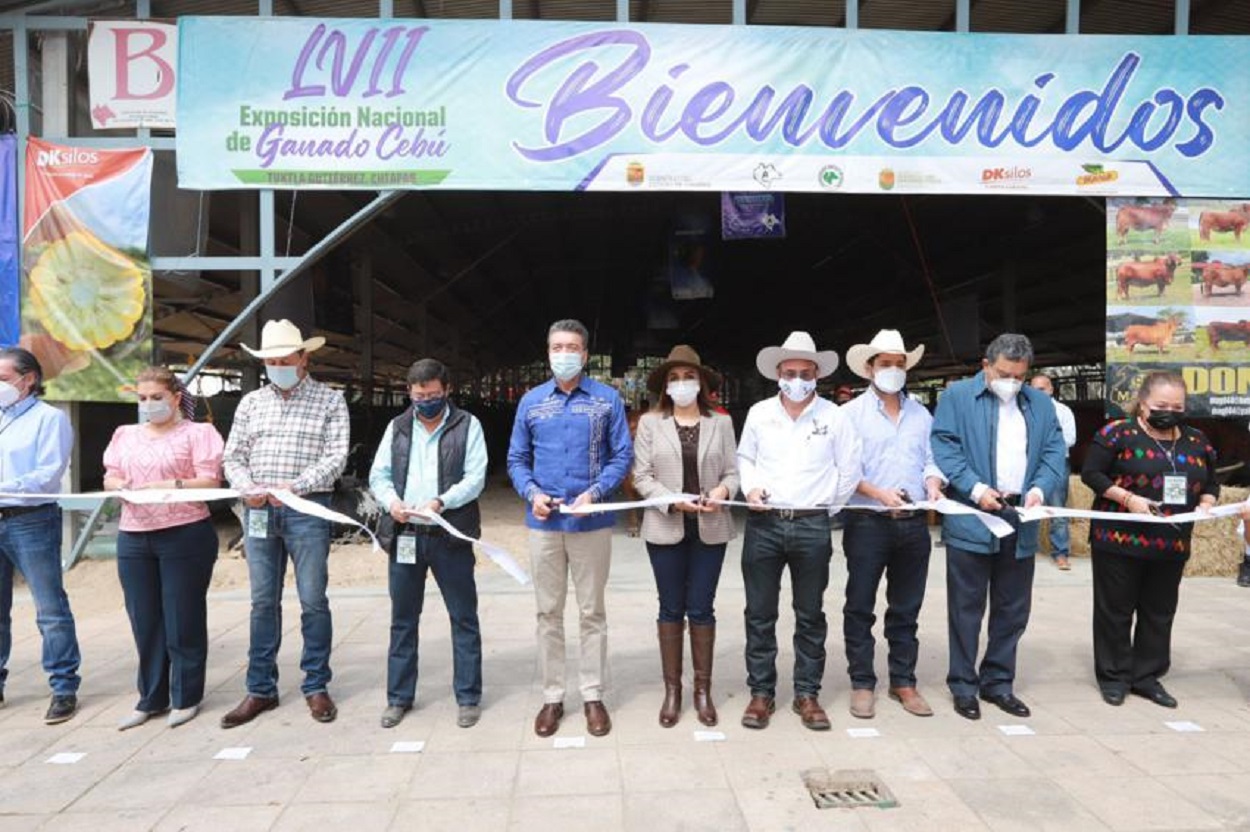 Se lleva a cabo la LVII Exposición Nacional de Ganado Cebú en Chiapas