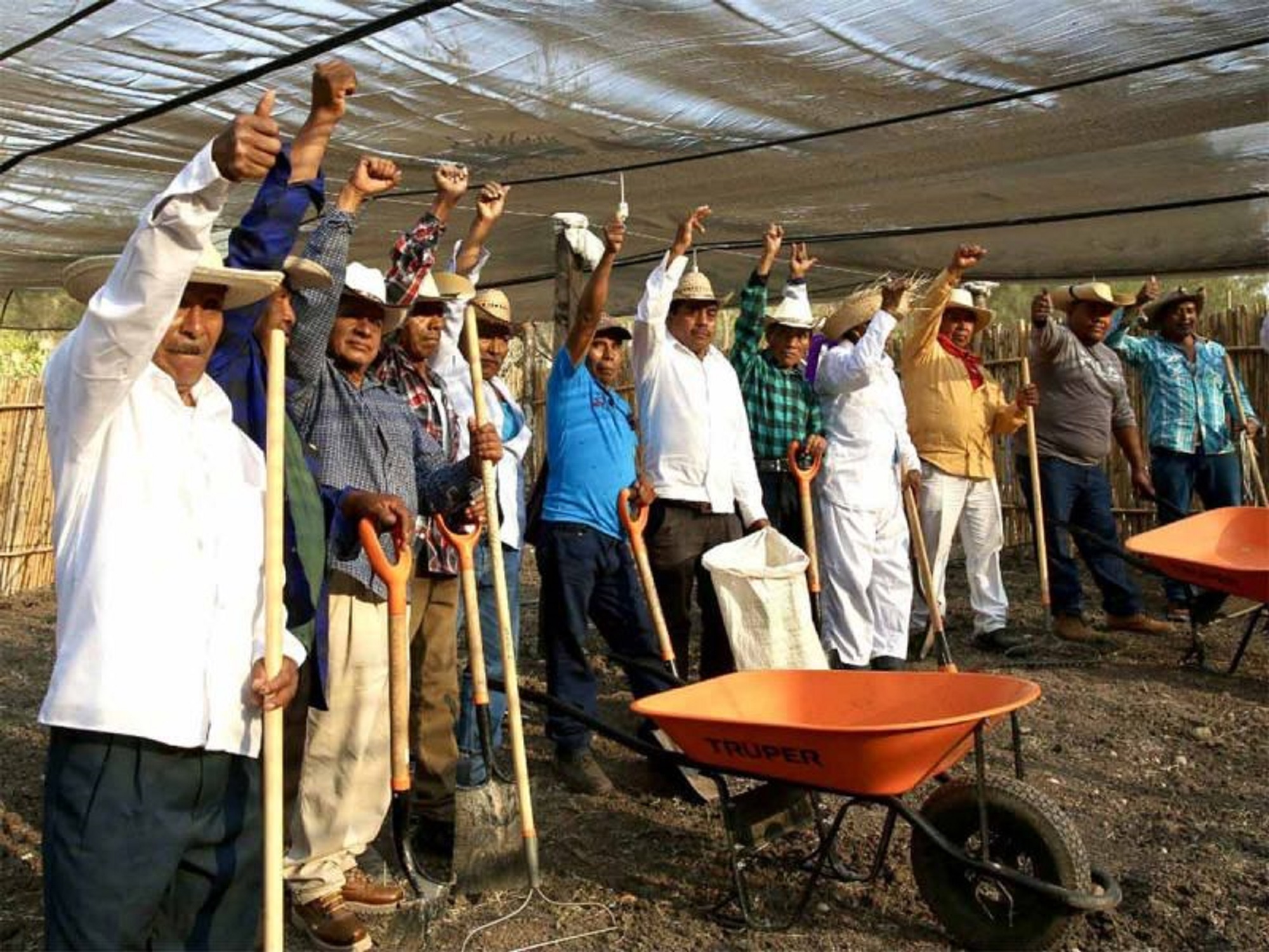 México Y Ee.uu Anuncian “Sembrando Oportunidades”