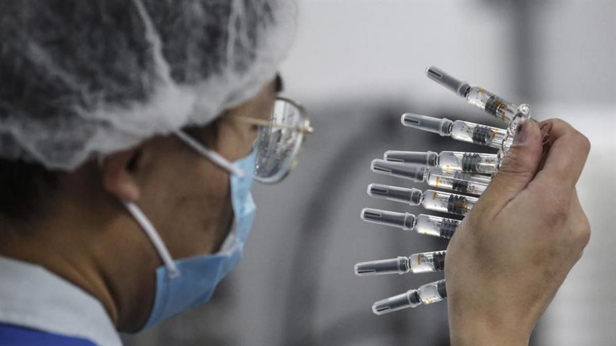 Oms Aprueba Vacuna Anticovid Elaborada Por México Y Argentina